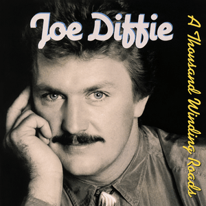 Liquid Heartache - Joe Diffie