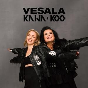 Nopee hopee - Vesala & Kaija Koo