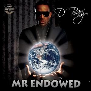 Mr. Endowed - D'Banj