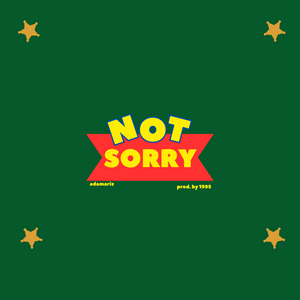 NOT SORRY - Adamariz