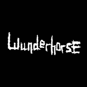 Opraph Winfrey (Is This Love?) - Wunderhorse