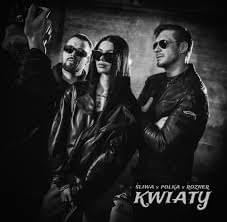 Kwiaty - Śliwa (Ft. Mikołaj "Rozner" Roznerski & Polka (POL))