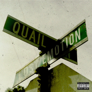 Lost Emotion - Quail P