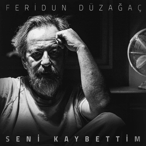 Seni Kaybettim - Feridun Düzağaç