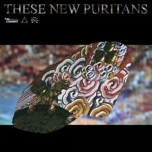 Hologram (SALEM Remix) - These New Puritans