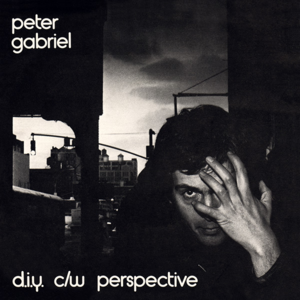 D.I.Y. - Peter Gabriel