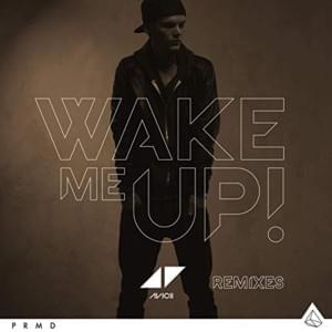 Wake Me Up (Reggae Mix) - Avicii (Ft. Aloe Blacc)