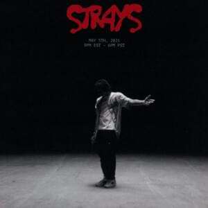 Strays 02 - Kenny Mason