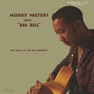 Double Trouble - Muddy Waters