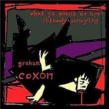 Bloody Annoying - Graham Coxon