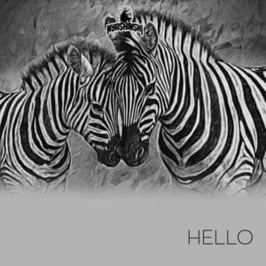 Hello - Nyashinski