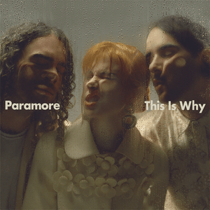 Figure 8 - Paramore