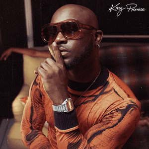 Perfect Combi - King Promise (Ft. Gabzy)