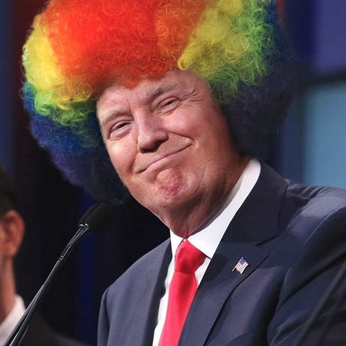 Trumpular - Pogo