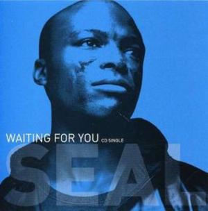 Waiting for You - Seal