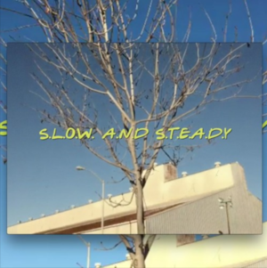 ​slow and steady. - QAWI KAMRI (Ft. Cry Polar & ​weepingbell)