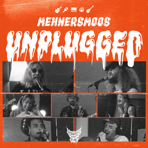 Liebe ist ein verrücktes Spiel (unplugged) - Mehnersmoos (Ft. DJ Arschlochficker)