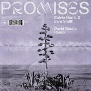 Promises (David Guetta Remix) - Calvin Harris & Sam Smith