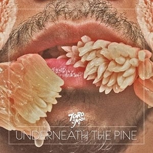 Got Blinded - Toro y Moi