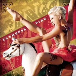 Why Did I Ever Like You - P!nk