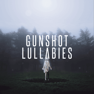 Gunshot Lullabies - Citizen Soldier