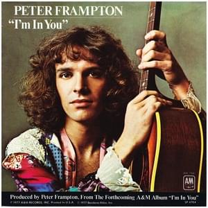 I’m in You - Peter Frampton