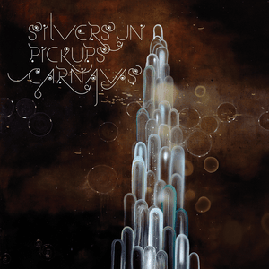 Waste It On - Silversun Pickups