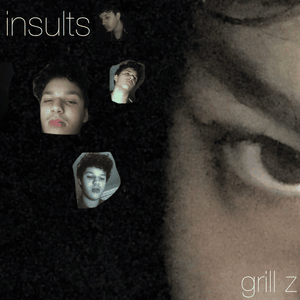 INSULTS - Grill Z