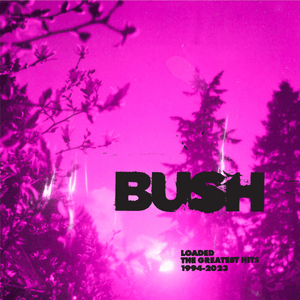 Come Together - Bush