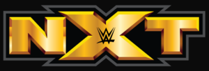 List of Current NXT Superstar Nicknames - WWE