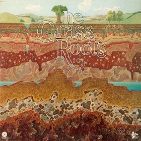 Optical Illusion - The Grass Roots