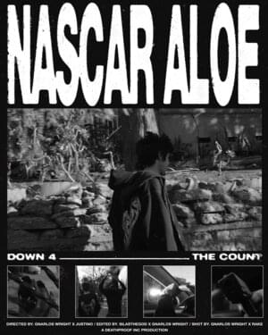 DOWN 4 THE COUNT - ​​​​​​nascar aloe