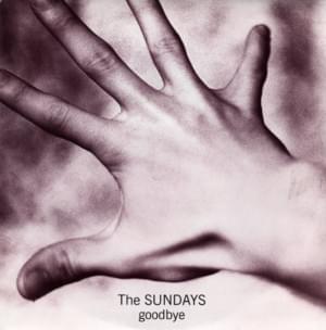 Goodbye - The Sundays