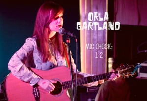 Undercover Martyn - Orla Gartland