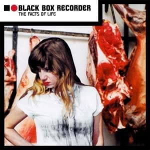 The English Motorway System - Black Box Recorder