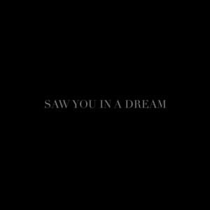 Saw You In A Dream - Ally Hills