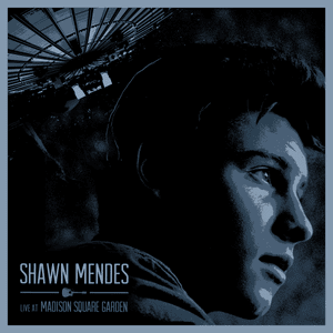 Stitches (Live) - Shawn Mendes