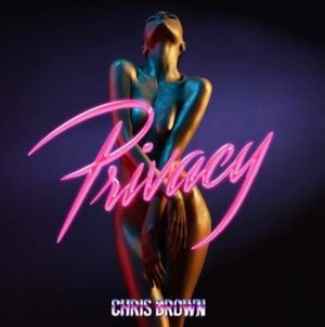 Privacy - Chris Brown