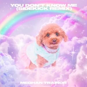 You Don’t Know Me (Sidekick Remix) - Meghan Trainor