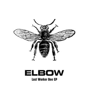 Usually Bright - Elbow