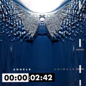 Angel (Wipe Out) - Front 242