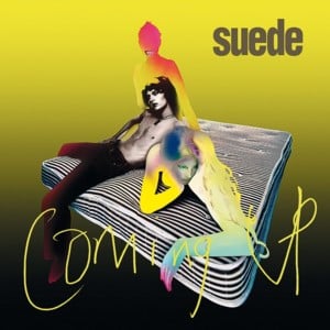 Picnic By the Motorway - Suede