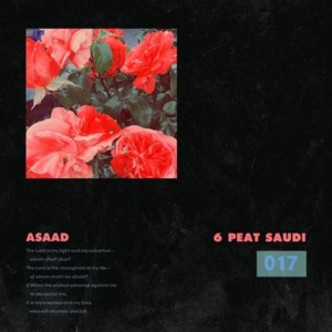 6 Peat Saudi - Asaad (Saudi Money)