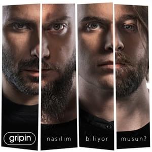 Acemisiyim Mutluluğun - Gripin