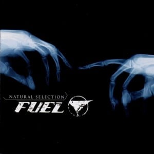 Down Inside of You - Fuel