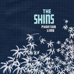 Spilt Needles (Alternate Version) - The Shins