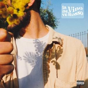 Vino rosso - Laneve