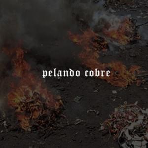 Pelando Cobre - Homer el Mero Mero