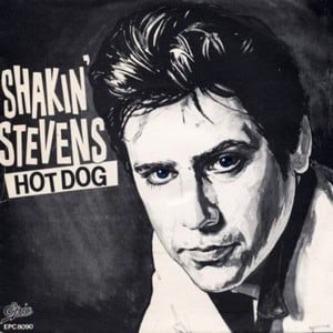 Shotgun Boogie - Shakin' Stevens