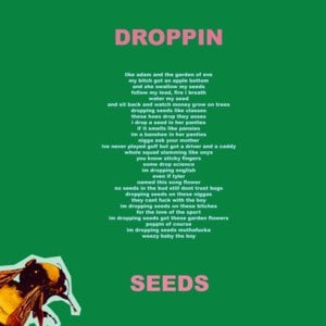 Droppin’ Seeds - Tyler, The Creator (Ft. Lil Wayne)